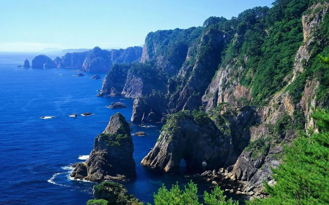 全自动高性能